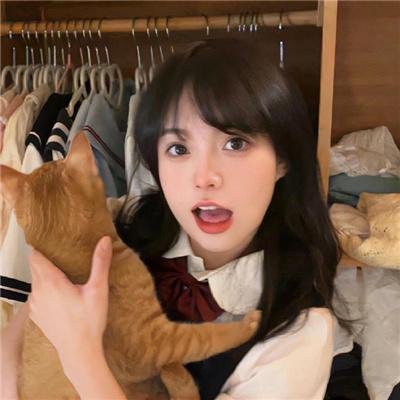 父仇者