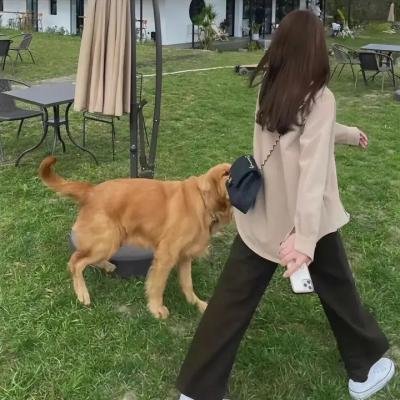 无间道长之神剑门